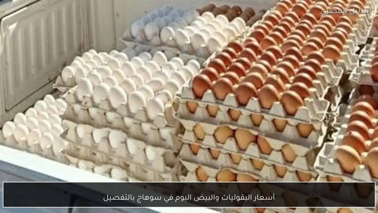 أسعار البقوليات والبيض اليوم في سوهاج بالتفصيل