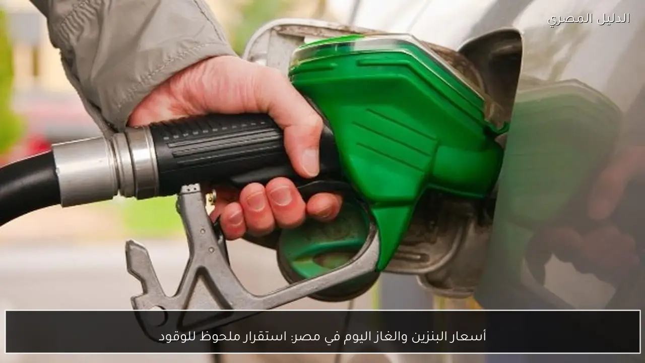 أسعار البنزين والغاز اليوم في مصر: استقرار ملحوظ للوقود