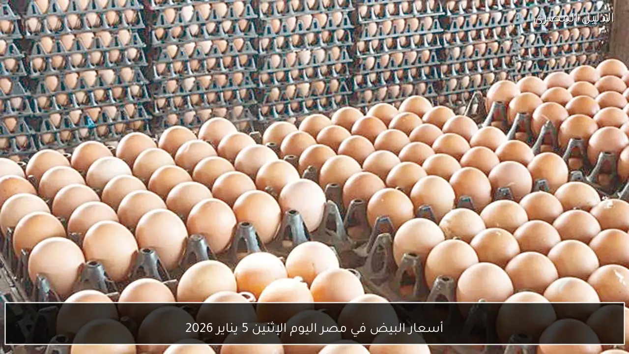 أسعار البيض في مصر اليوم الإثنين 5 يناير 2026