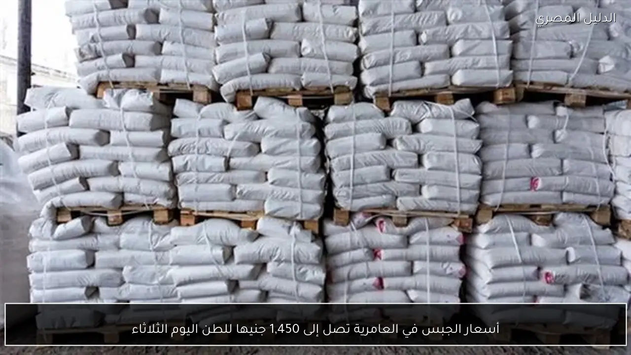 أسعار الجبس في العامرية تصل إلى 1,450 جنيها للطن اليوم الثلاثاء