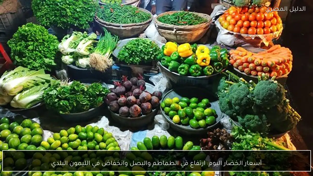 أسعار الخضار اليوم: ارتفاع في الطماطم والبصل وانخفاض في الليمون البلدي