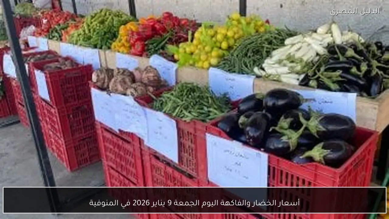 أسعار الخضار والفاكهة اليوم الجمعة 9 يناير 2026 في المنوفية