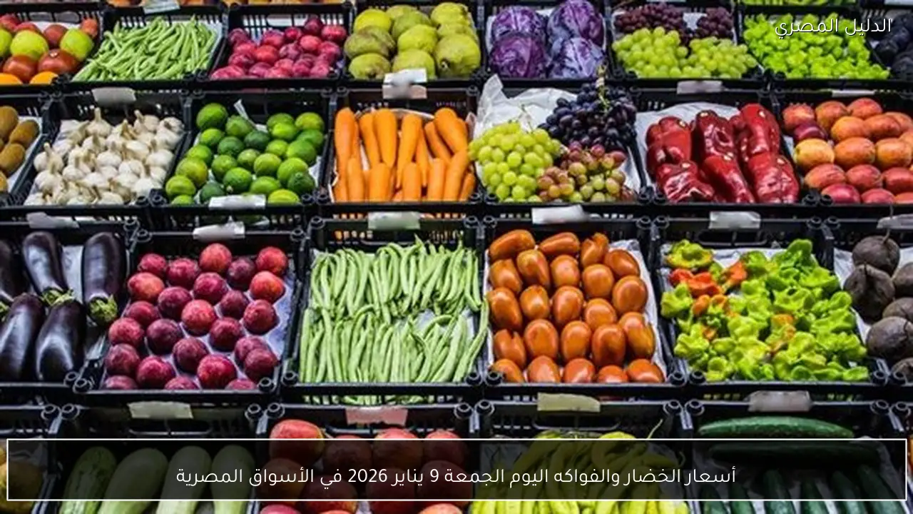 أسعار الخضار والفواكه اليوم الجمعة 9 يناير 2026 في الأسواق المصرية
