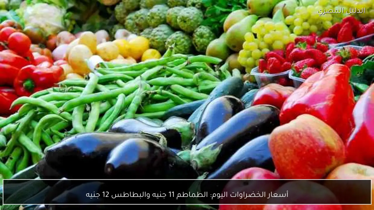 أسعار الخضراوات اليوم: الطماطم 11 جنيه والبطاطس 12 جنيه