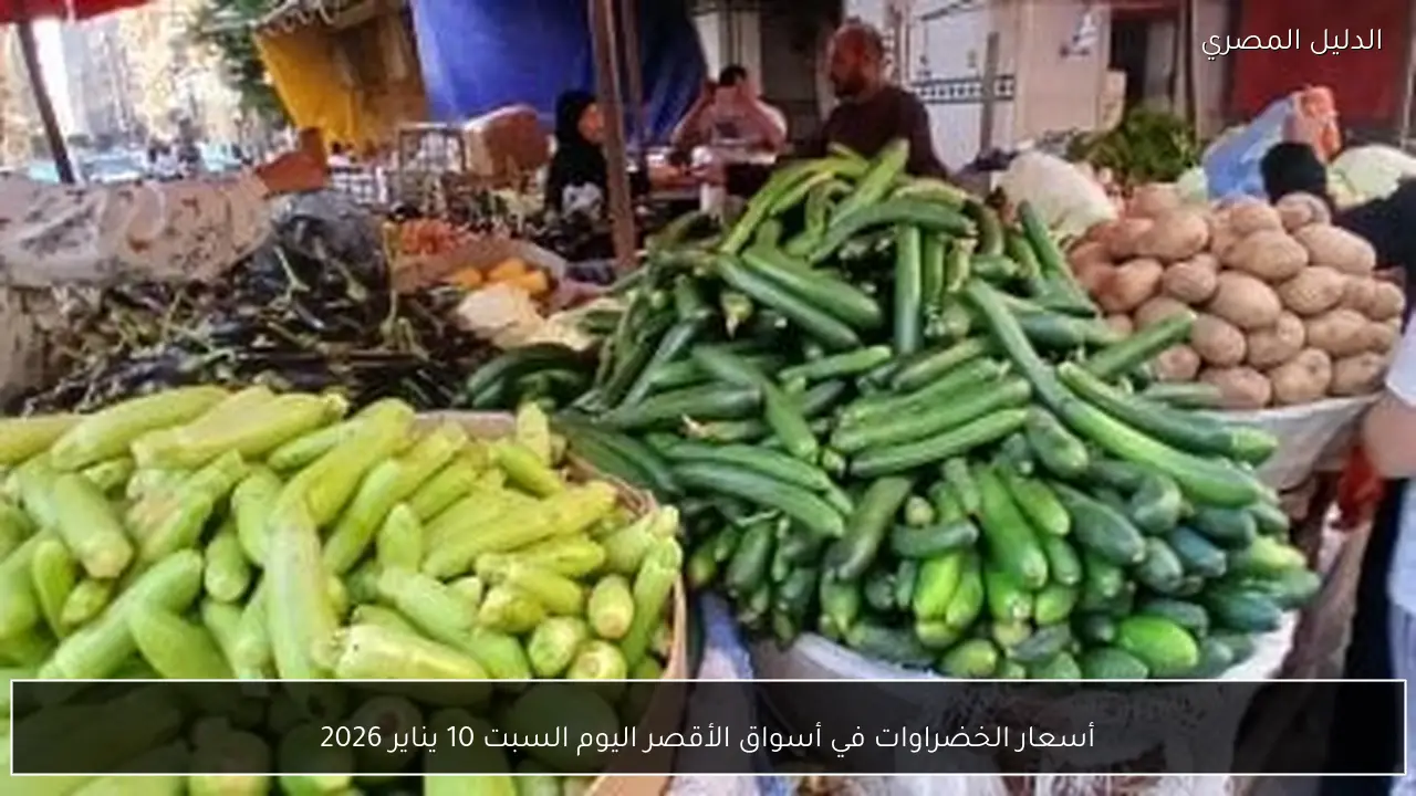أسعار الخضراوات في أسواق الأقصر اليوم السبت 10 يناير 2026