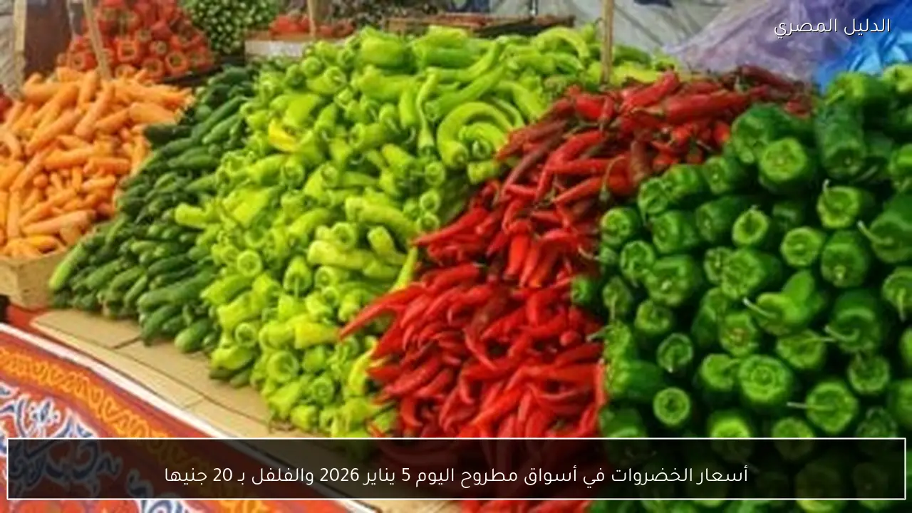 أسعار الخضروات في أسواق مطروح اليوم 5 يناير 2026 والفلفل بـ 20 جنيها