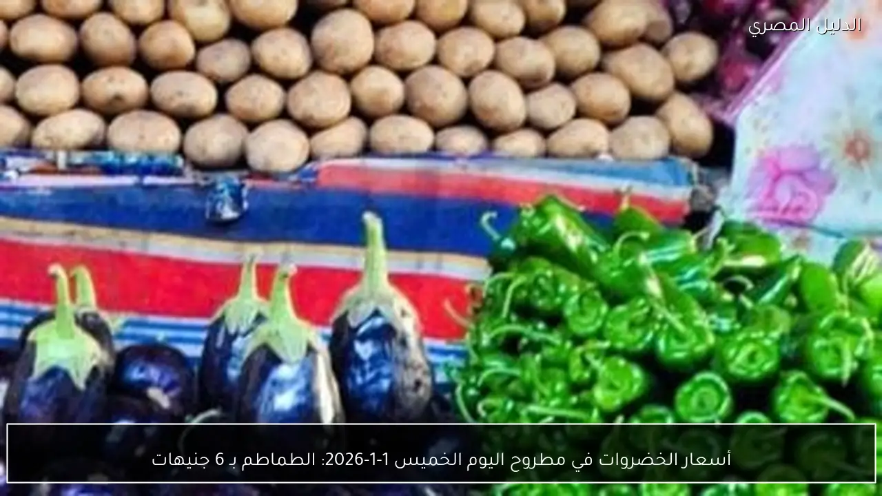 أسعار الخضروات في مطروح اليوم الخميس 1-1-2026: الطماطم بـ 6 جنيهات