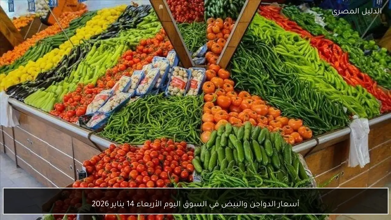 أسعار الدواجن والبيض في السوق اليوم الأربعاء 14 يناير 2026