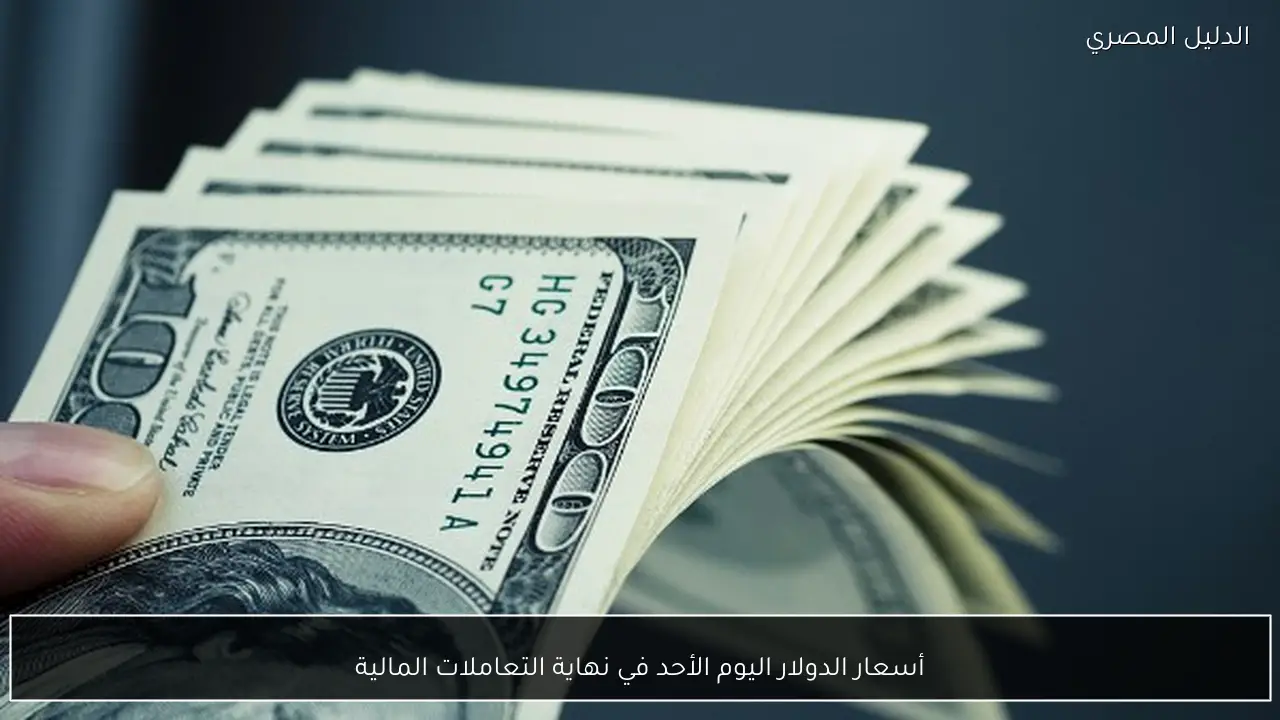 أسعار الدولار اليوم الأحد في نهاية التعاملات المالية