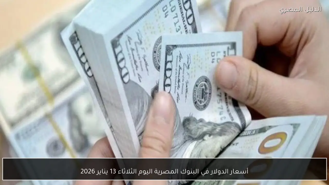 أسعار الدولار في البنوك المصرية اليوم الثلاثاء 13 يناير 2026