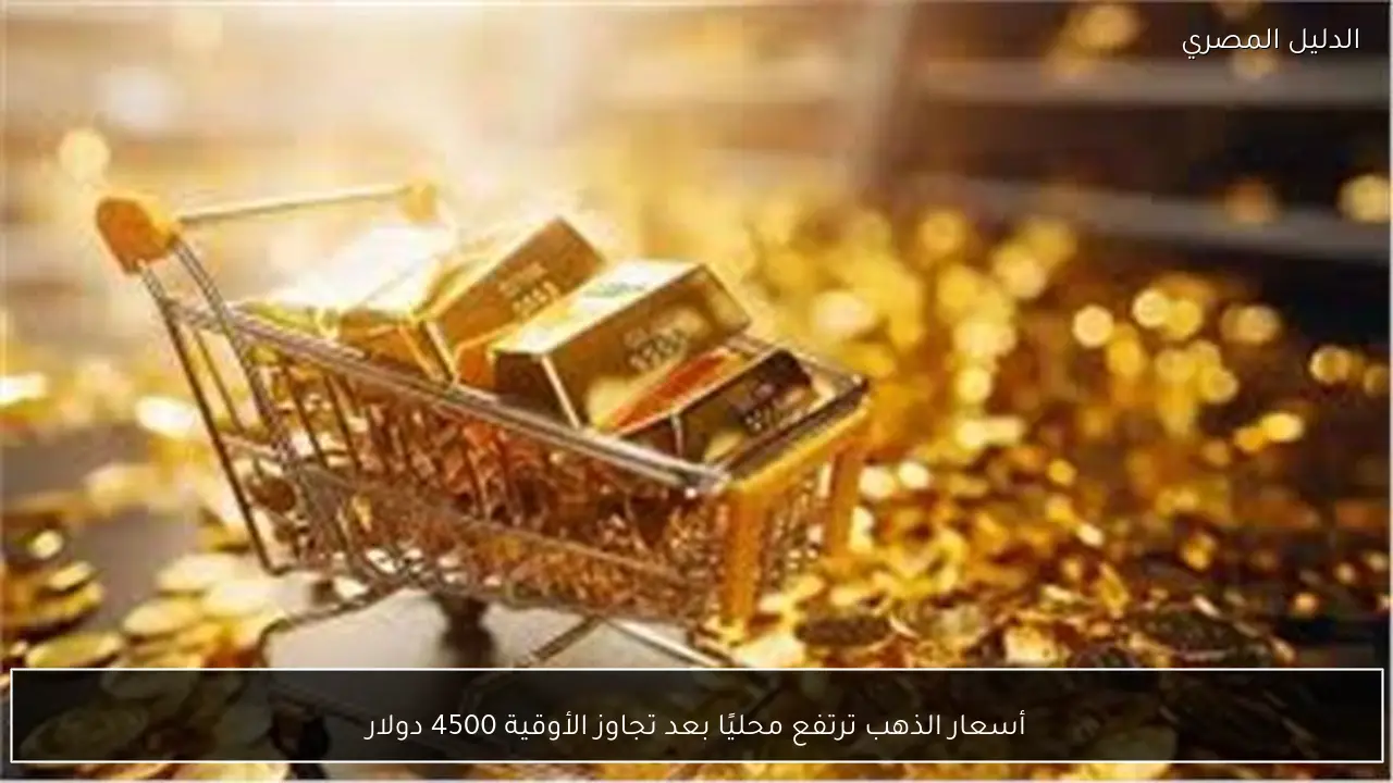 أسعار الذهب ترتفع محليًا بعد تجاوز الأوقية 4500 دولار