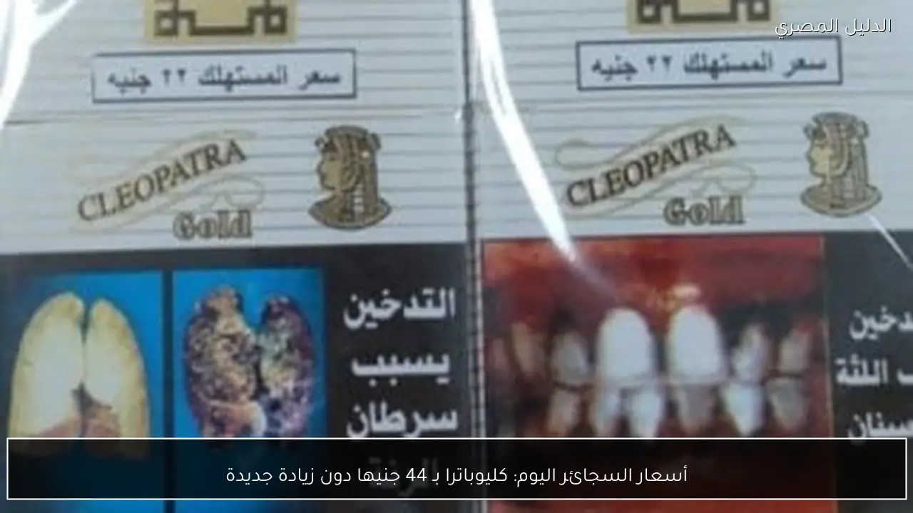 أسعار السجائر اليوم: كليوباترا بـ 44 جنيها دون زيادة جديدة