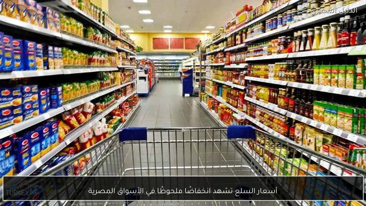 أسعار السلع تشهد انخفاضًا ملحوظًا في الأسواق المصرية