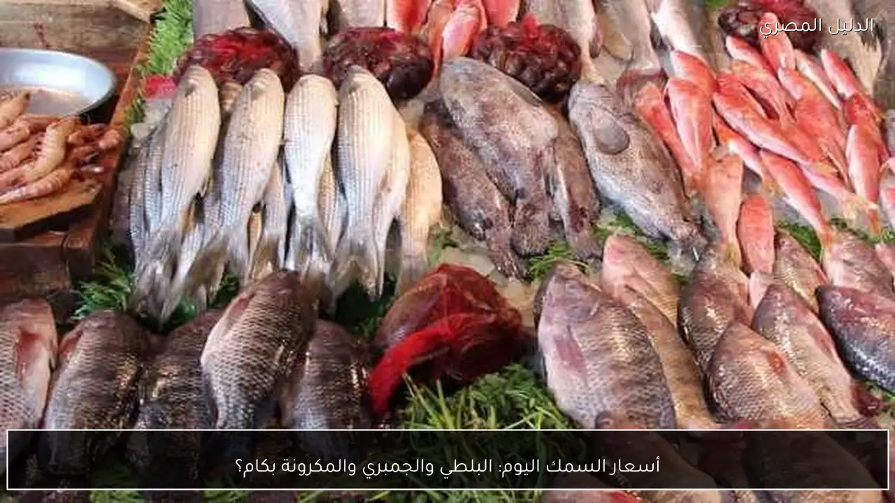 أسعار السمك اليوم: البلطي والجمبري والمكرونة بكام؟