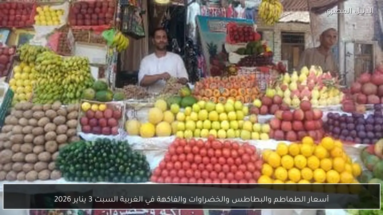 أسعار الطماطم والبطاطس والخضراوات والفاكهة في الغربية السبت 3 يناير 2026