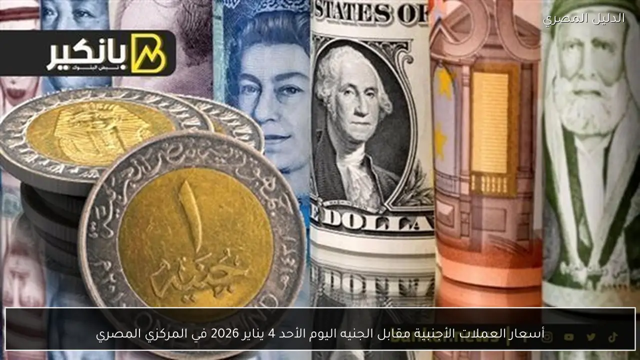 أسعار العملات الأجنبية مقابل الجنيه اليوم الأحد 4 يناير 2026 في المركزي المصري