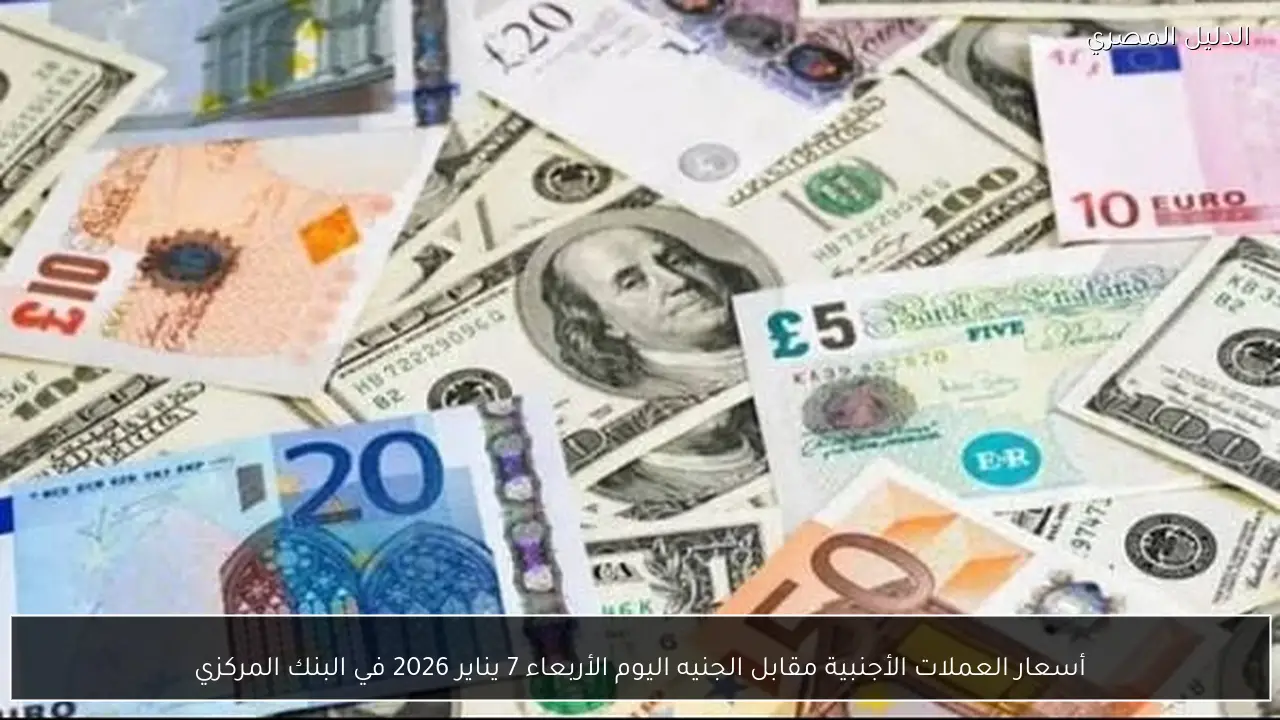 أسعار العملات الأجنبية مقابل الجنيه اليوم الأربعاء 7 يناير 2026 في البنك المركزي