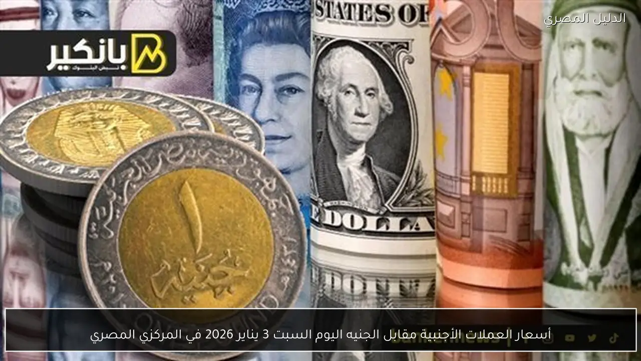 أسعار العملات الأجنبية مقابل الجنيه اليوم السبت 3 يناير 2026 في المركزي المصري