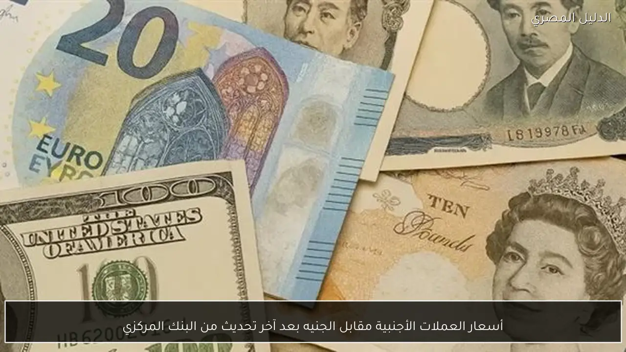 أسعار العملات الأجنبية مقابل الجنيه بعد آخر تحديث من البنك المركزي