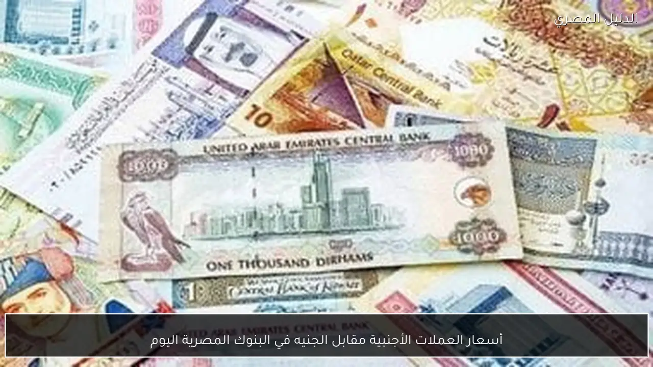 أسعار العملات الأجنبية مقابل الجنيه في البنوك المصرية اليوم
