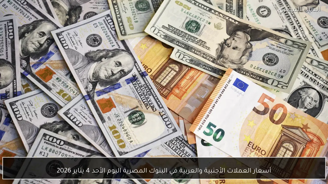 أسعار العملات الأجنبية والعربية في البنوك المصرية اليوم الأحد 4 يناير 2026