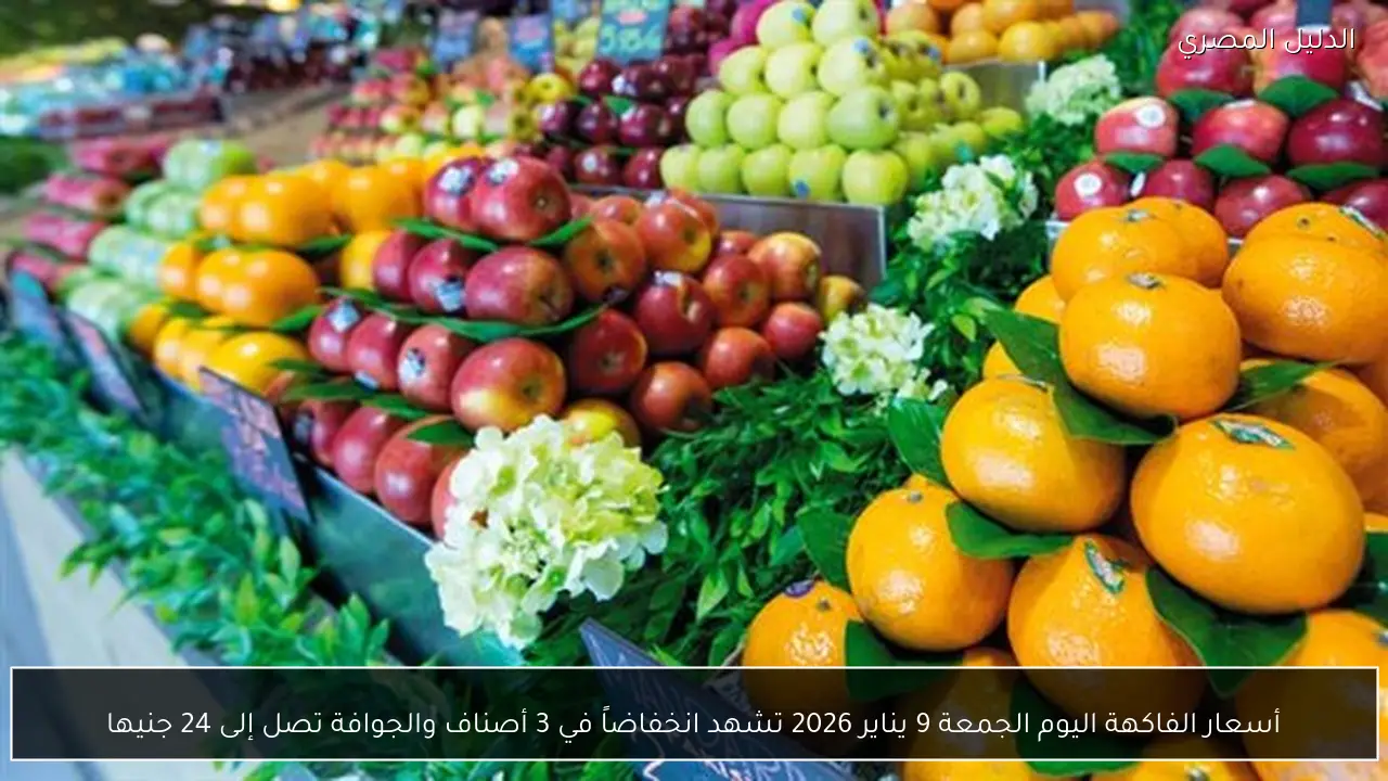 أسعار الفاكهة اليوم الجمعة 9 يناير 2026 تشهد انخفاضاً في 3 أصناف والجوافة تصل إلى 24 جنيها