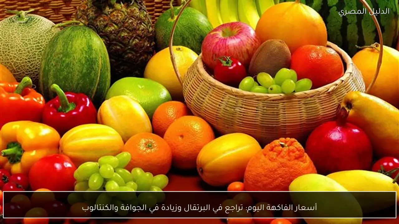 أسعار الفاكهة اليوم: تراجع في البرتقال وزيادة في الجوافة والكنتالوب