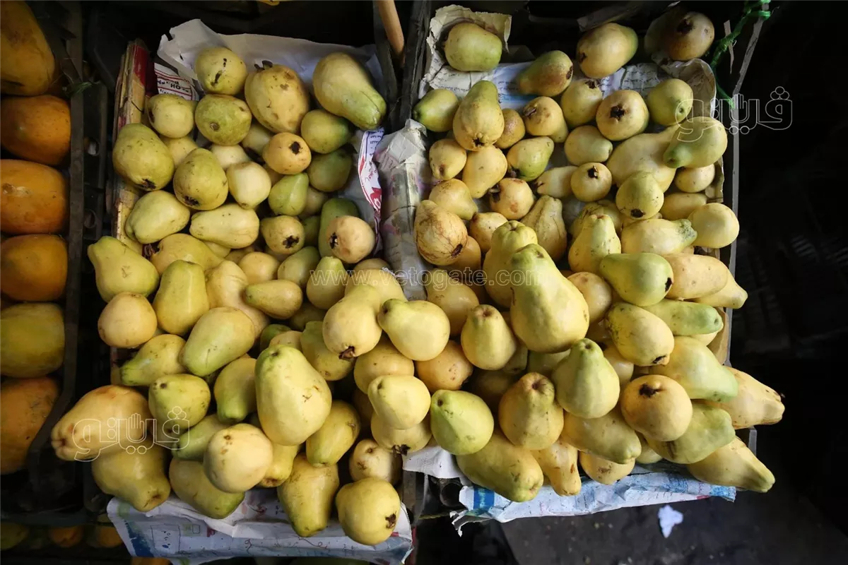 سعر الفاكهة اليوم، الدليل المصري