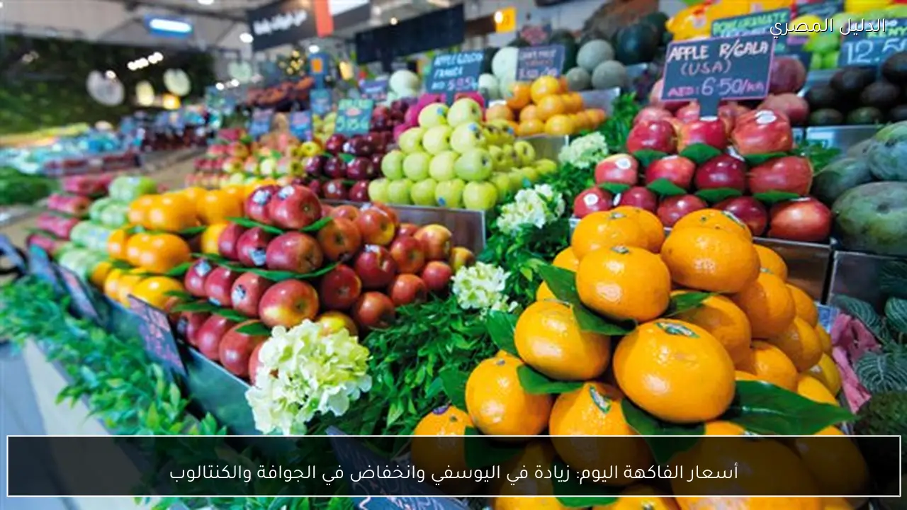 أسعار الفاكهة اليوم: زيادة في اليوسفي وانخفاض في الجوافة والكنتالوب