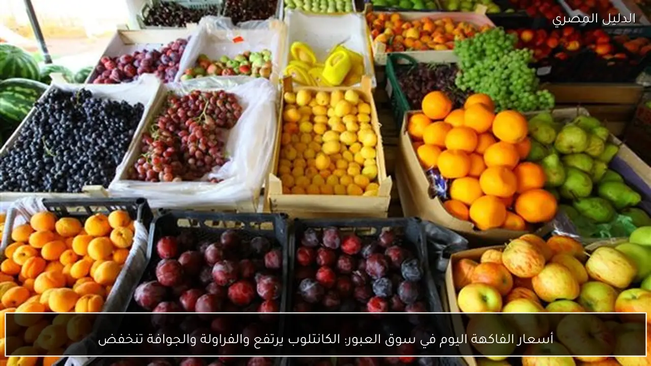 أسعار الفاكهة اليوم في سوق العبور: الكانتلوب يرتفع والفراولة والجوافة تنخفض