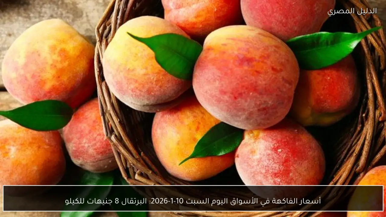 أسعار الفاكهة في الأسواق اليوم السبت 10-1-2026: البرتقال 8 جنيهات للكيلو
