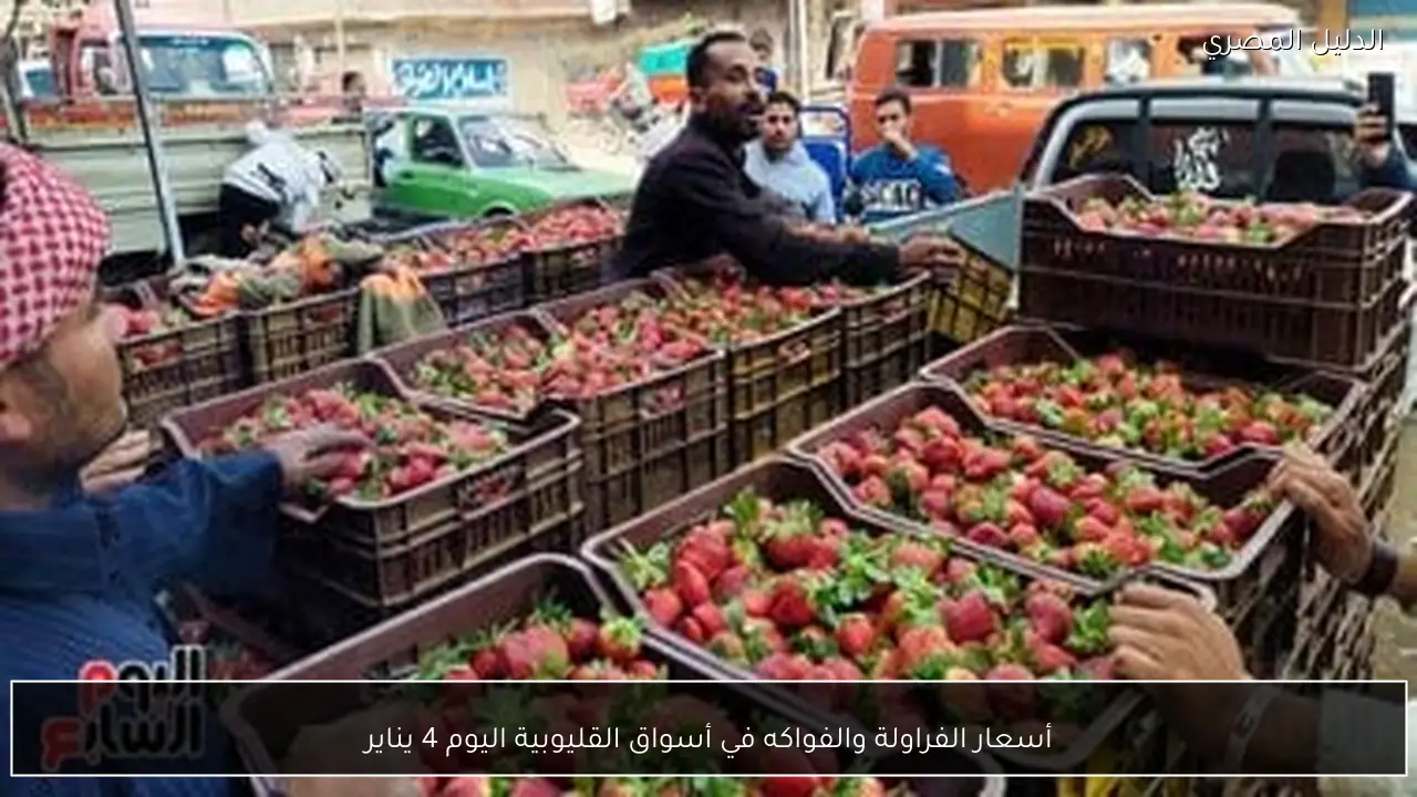 أسعار الفراولة والفواكه في أسواق القليوبية اليوم 4 يناير