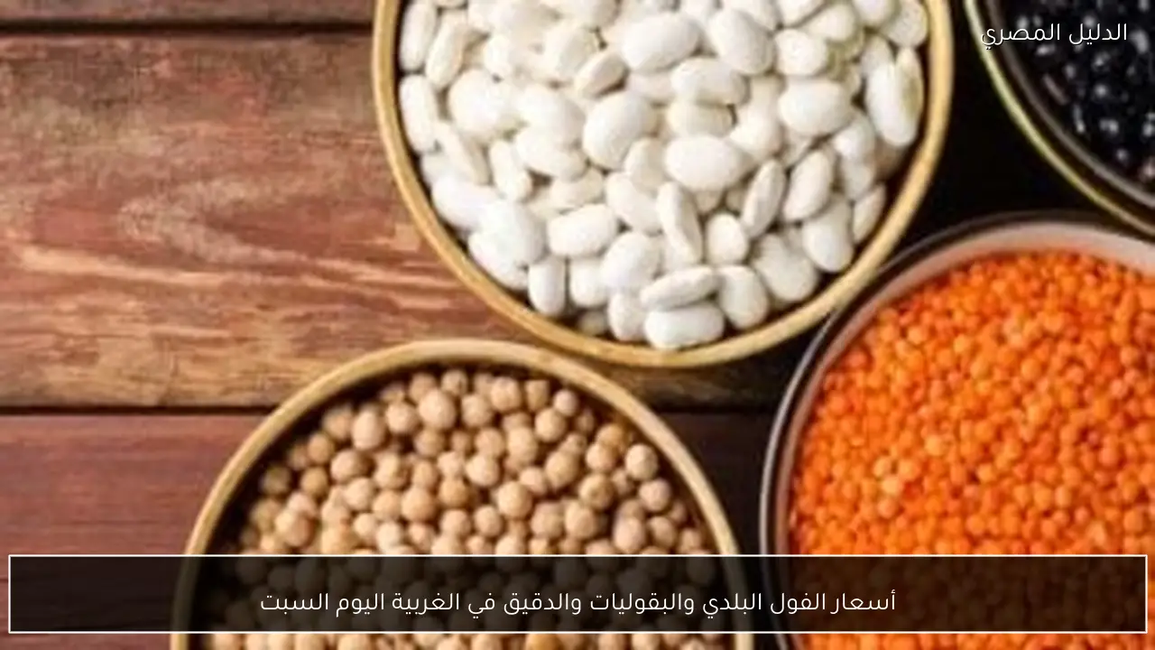 أسعار الفول البلدي والبقوليات والدقيق في الغربية اليوم السبت