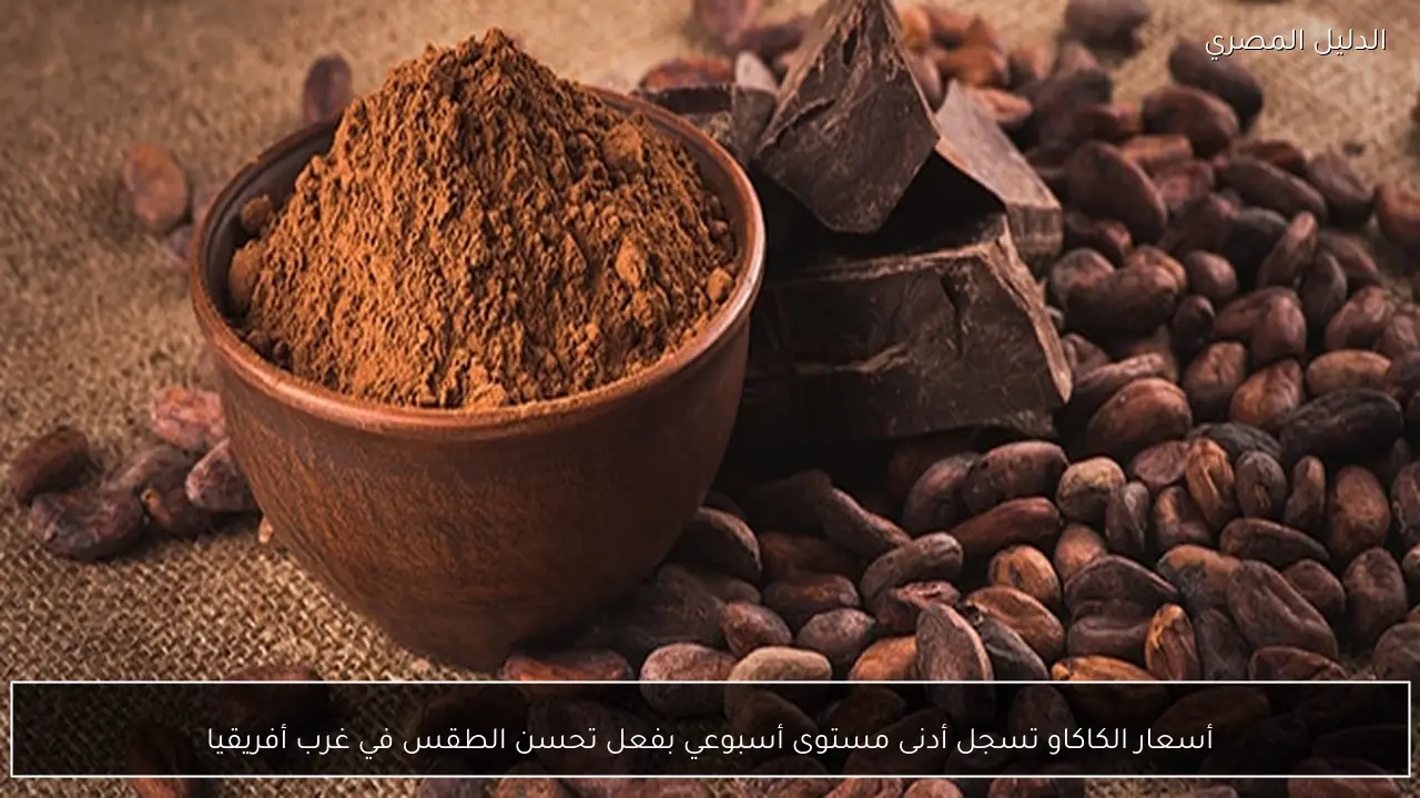 أسعار الكاكاو تسجل أدنى مستوى أسبوعي بفعل تحسن الطقس في غرب أفريقيا