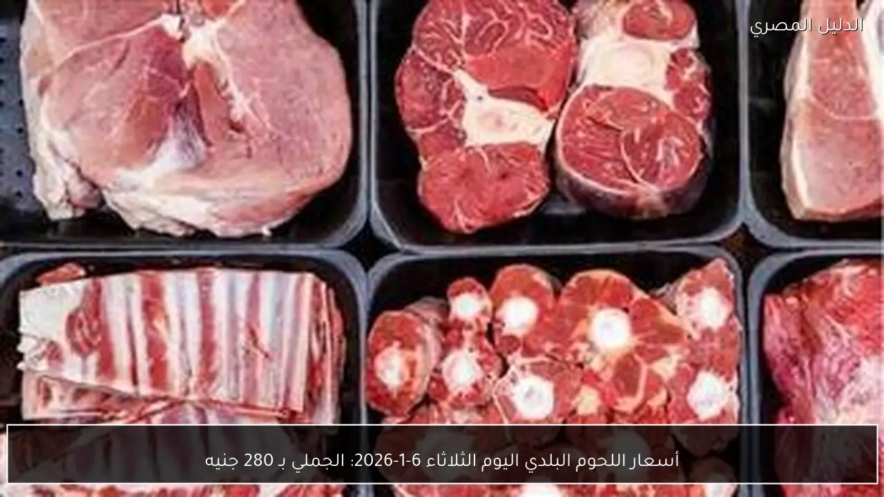 أسعار اللحوم البلدي اليوم الثلاثاء 6-1-2026: الجملي بـ 280 جنيه