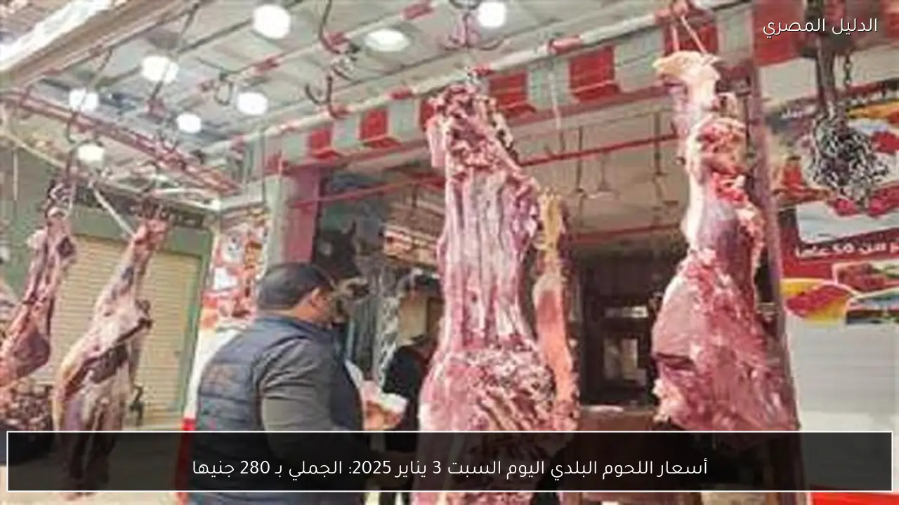 أسعار اللحوم البلدي اليوم السبت 3 يناير 2025: الجملي بـ 280 جنيها
