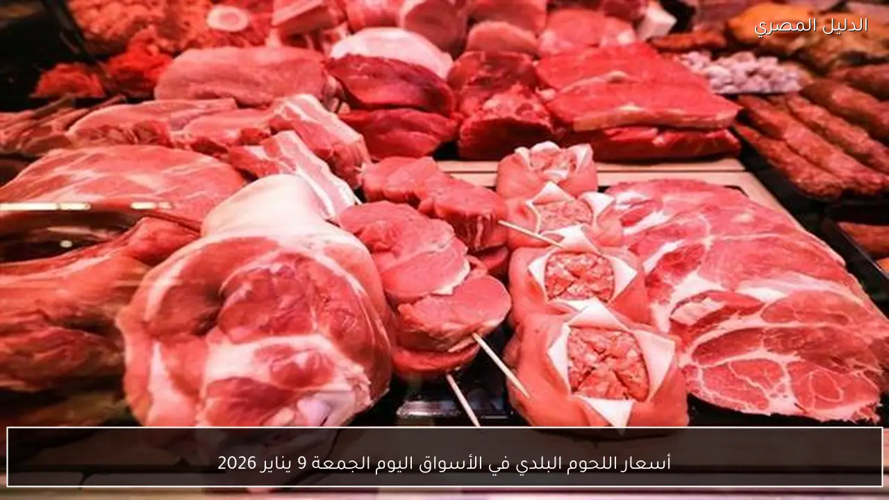 أسعار اللحوم البلدي في الأسواق اليوم الجمعة 9 يناير 2026