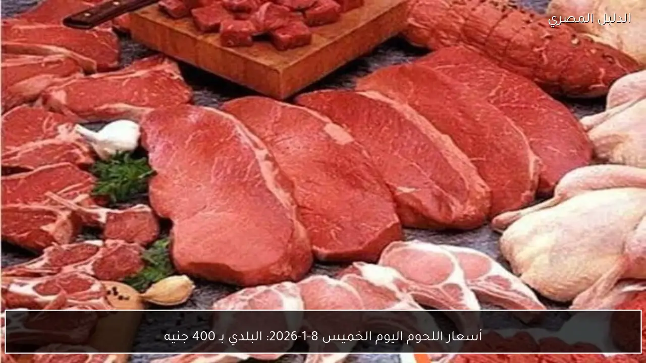أسعار اللحوم اليوم الخميس 8-1-2026: البلدي بـ 400 جنيه