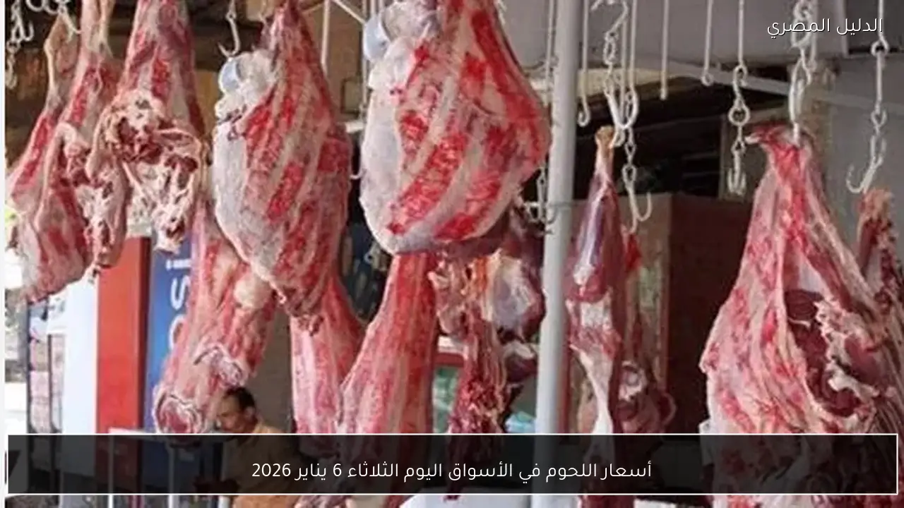 أسعار اللحوم في الأسواق اليوم الثلاثاء 6 يناير 2026