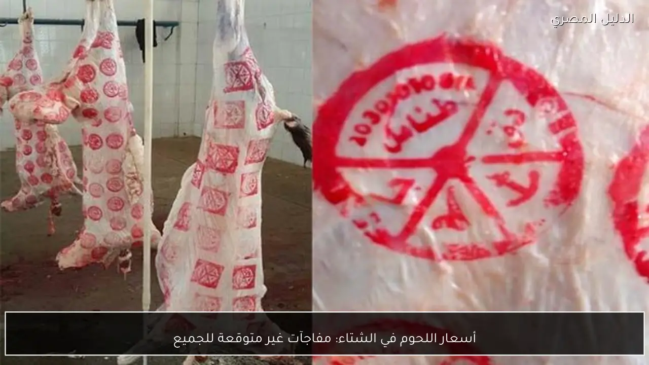 أسعار اللحوم في الشتاء: مفاجآت غير متوقعة للجميع