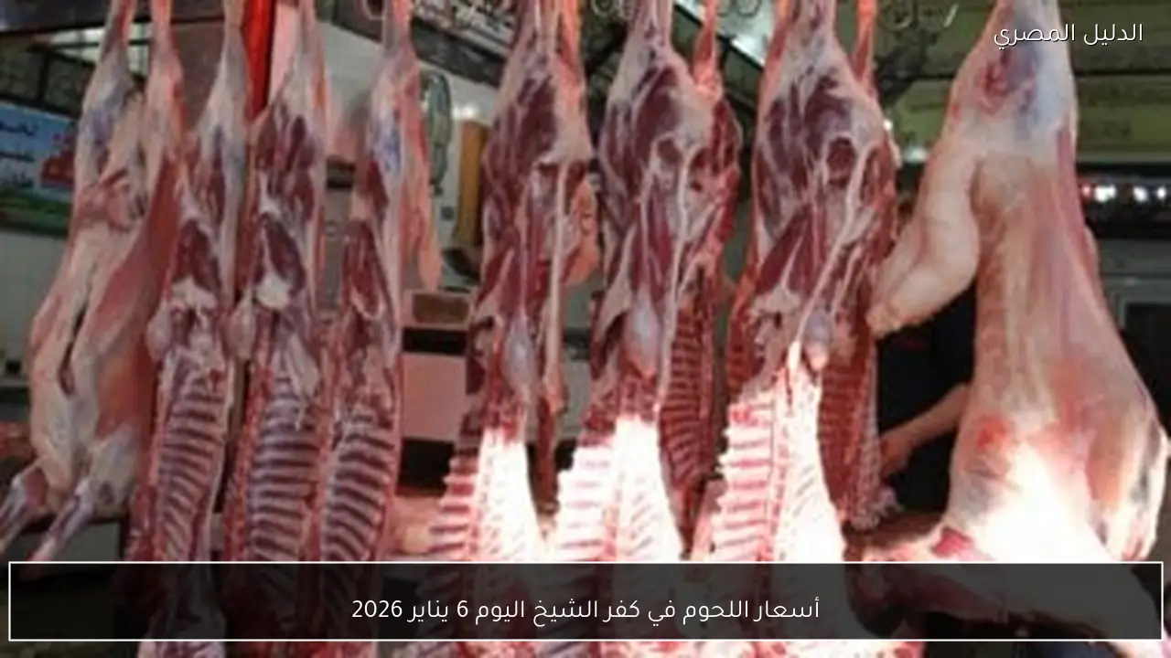 أسعار اللحوم في كفر الشيخ اليوم 6 يناير 2026