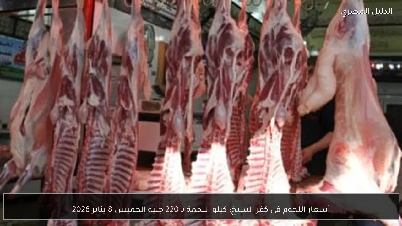 أسعار اللحوم في كفر الشيخ: كيلو اللحمة بـ 220 جنيه الخميس 8 يناير 2026