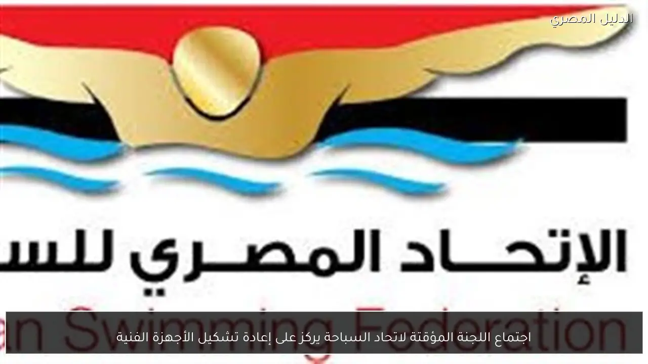 اجتماع اللجنة المؤقتة لاتحاد السباحة يركز على إعادة تشكيل الأجهزة الفنية