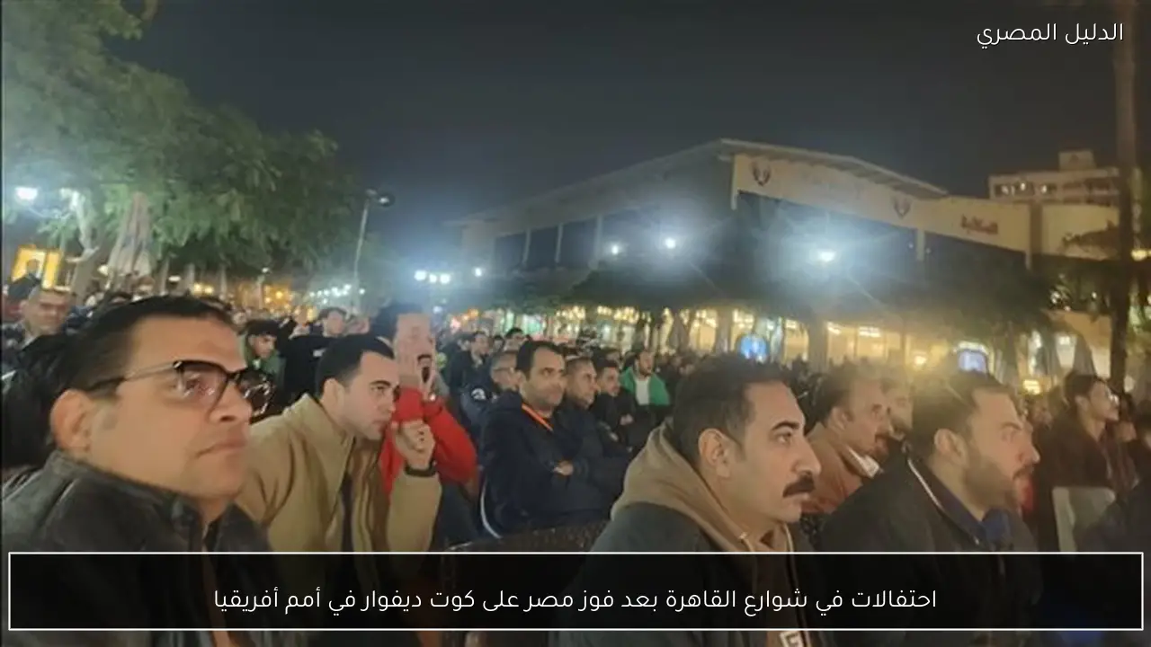 احتفالات في شوارع القاهرة بعد فوز مصر على كوت ديفوار في أمم أفريقيا