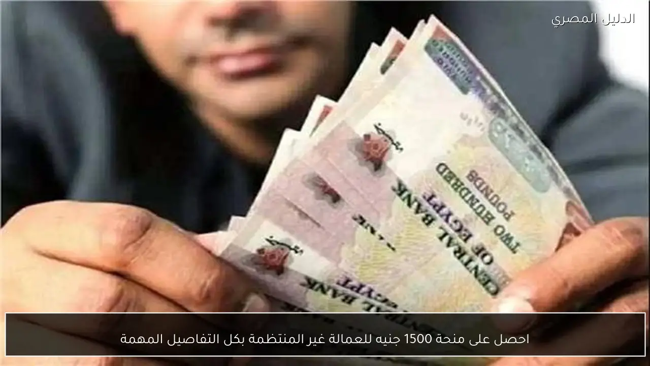 احصل على منحة 1500 جنيه للعمالة غير المنتظمة بكل التفاصيل المهمة