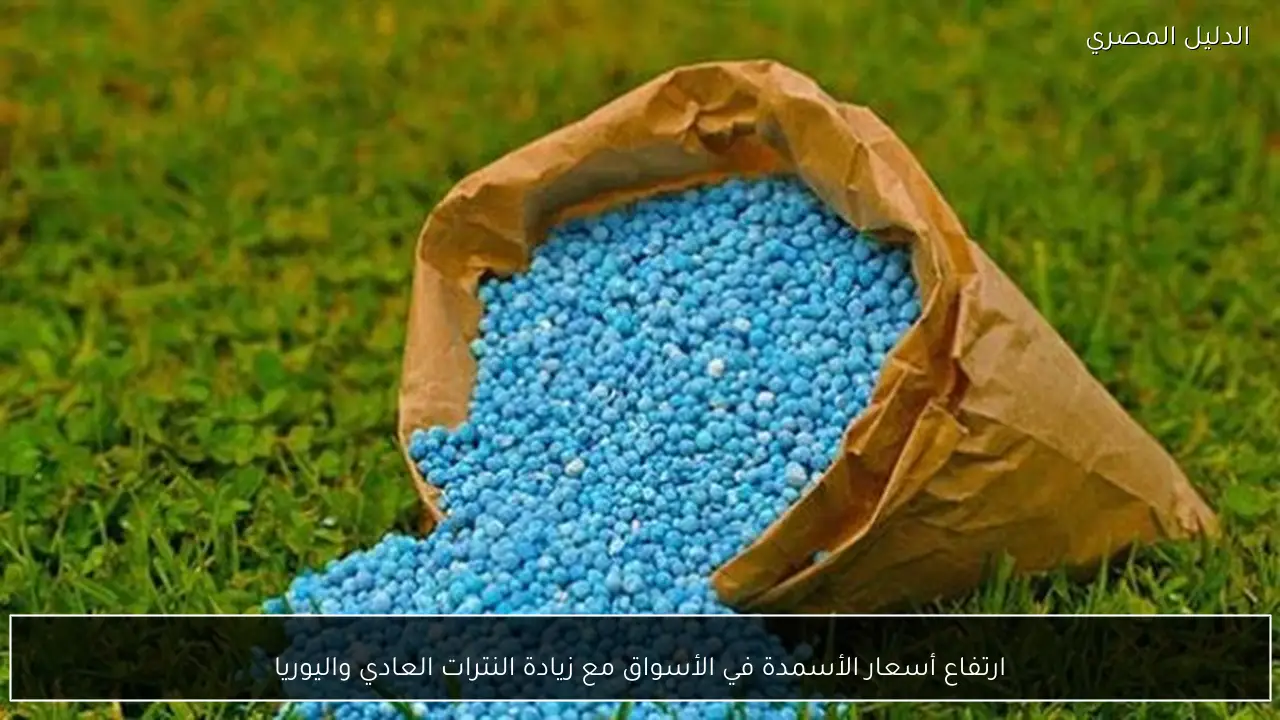 ارتفاع أسعار الأسمدة في الأسواق مع زيادة النترات العادي واليوريا