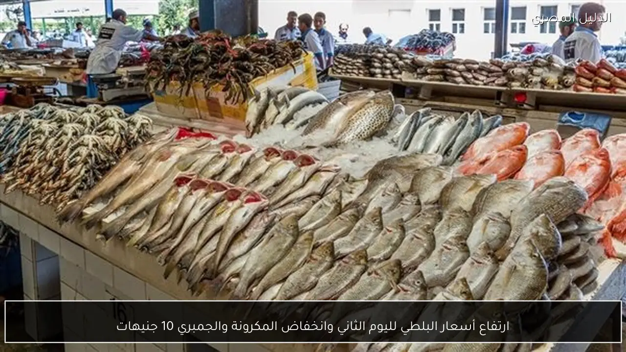 ارتفاع أسعار البلطي لليوم الثاني وانخفاض المكرونة والجمبري 10 جنيهات