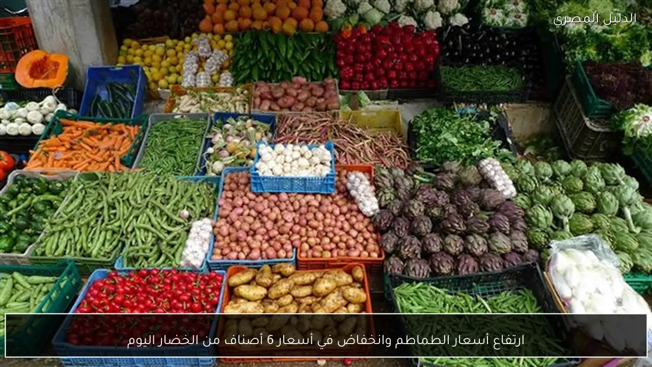 ارتفاع أسعار الطماطم وانخفاض في أسعار 6 أصناف من الخضار اليوم