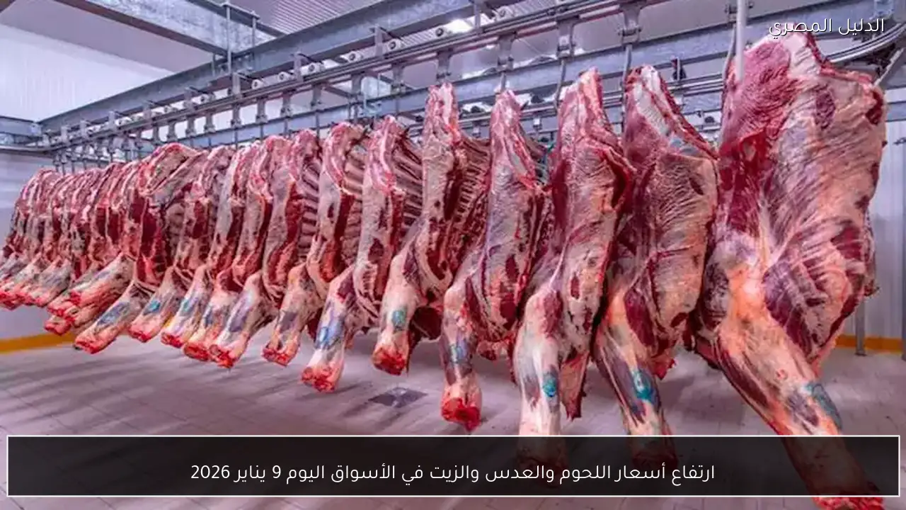 ارتفاع أسعار اللحوم والعدس والزيت في الأسواق اليوم 9 يناير 2026