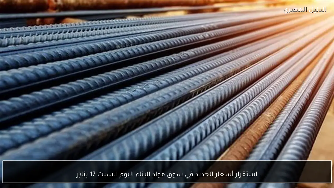 استقرار أسعار الحديد في سوق مواد البناء اليوم السبت 17 يناير